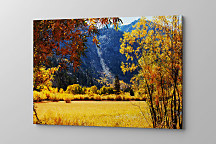 Obraz Babie leto zs1157